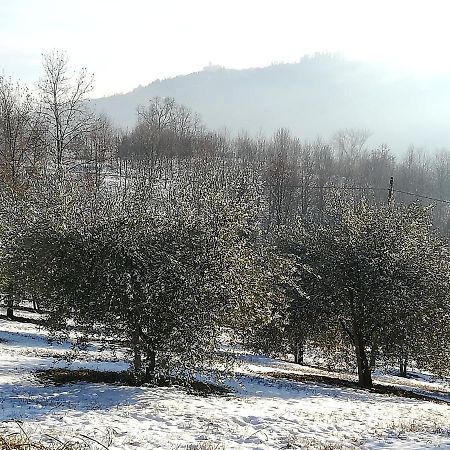 Sotto La Luna Bruna B&B Cocconato Екстериор снимка