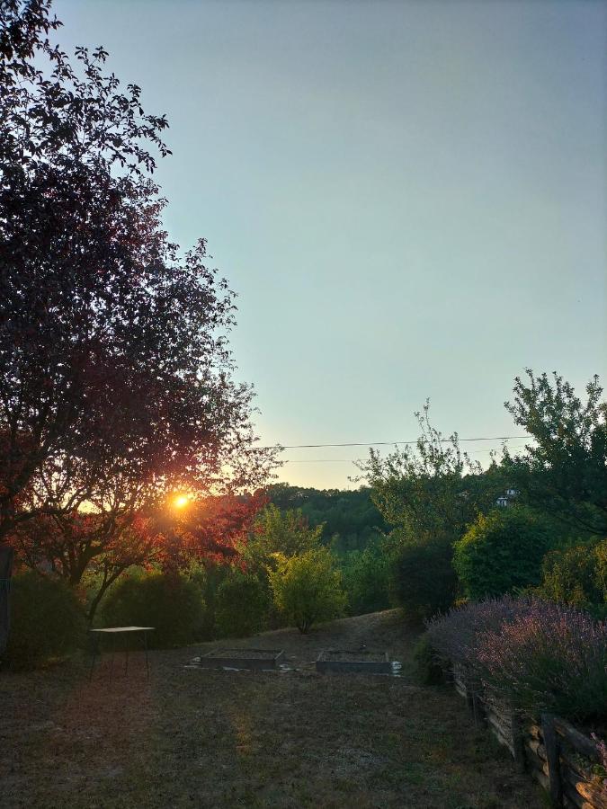 Sotto La Luna Bruna B&B Cocconato Екстериор снимка