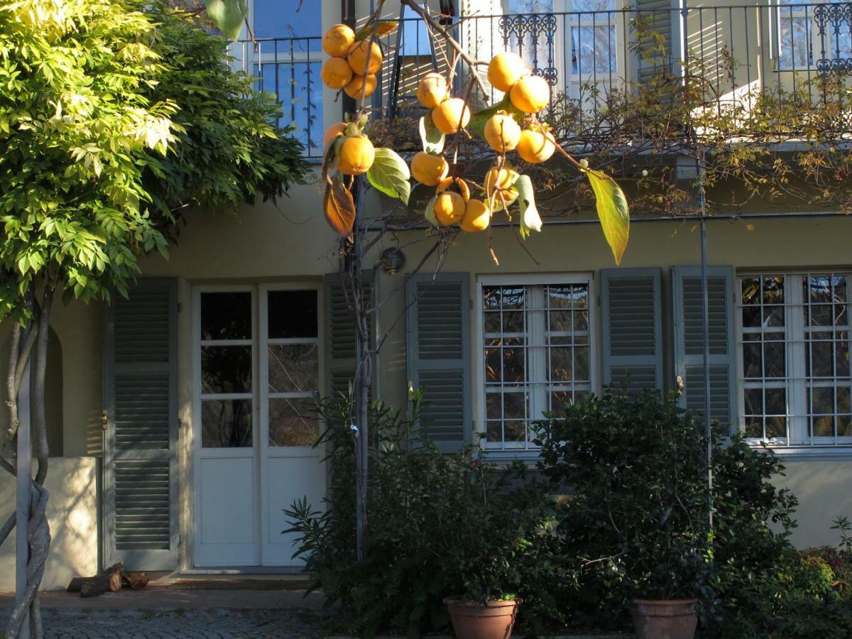 Sotto La Luna Bruna B&B Cocconato Екстериор снимка