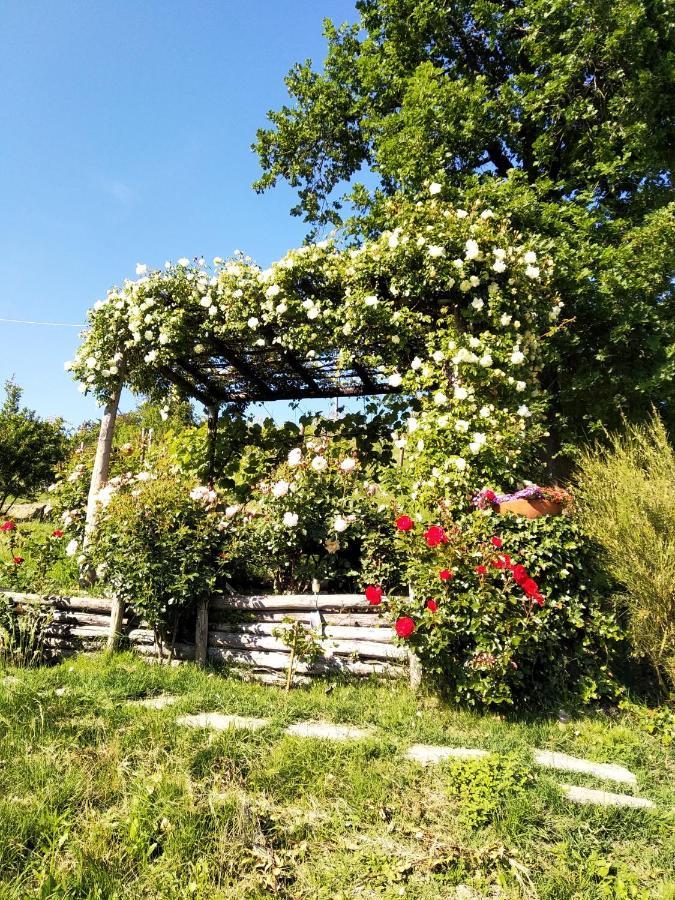 Sotto La Luna Bruna B&B Cocconato Екстериор снимка